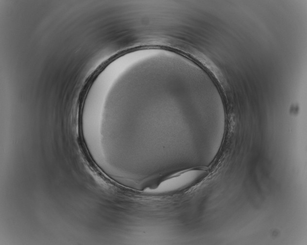 X0000094351127200711301355