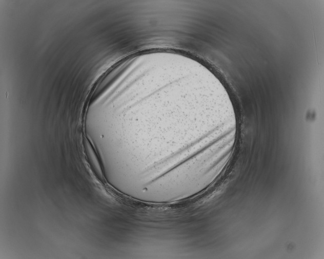 X0000094351129200711301355