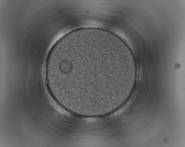 X0000094351130200711301355
