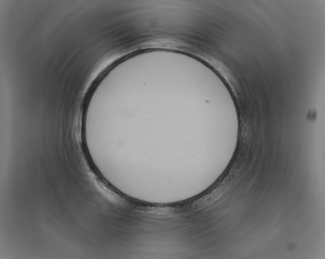 X0000094351131200711301355