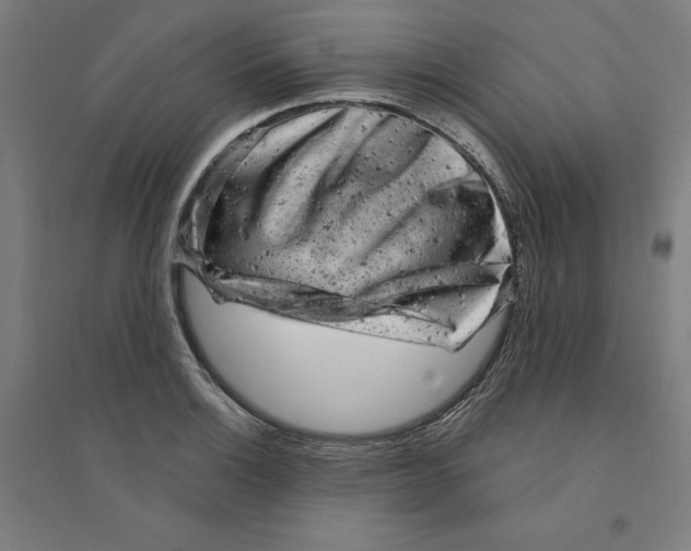 X0000094351132200711301355