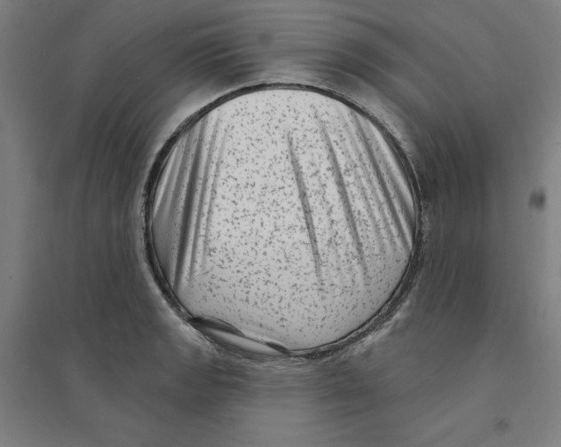 X0000094351133200711301355