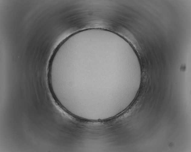 X0000094351135200711301355