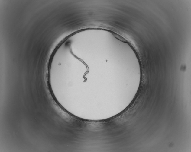 X0000094351136200711301355