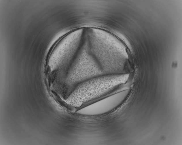 X0000094351138200711301355