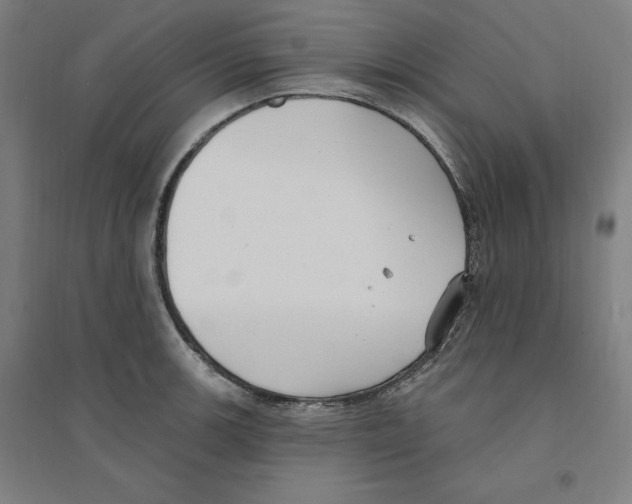 X0000094351139200711301355