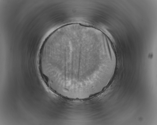 X0000094351144200711301355