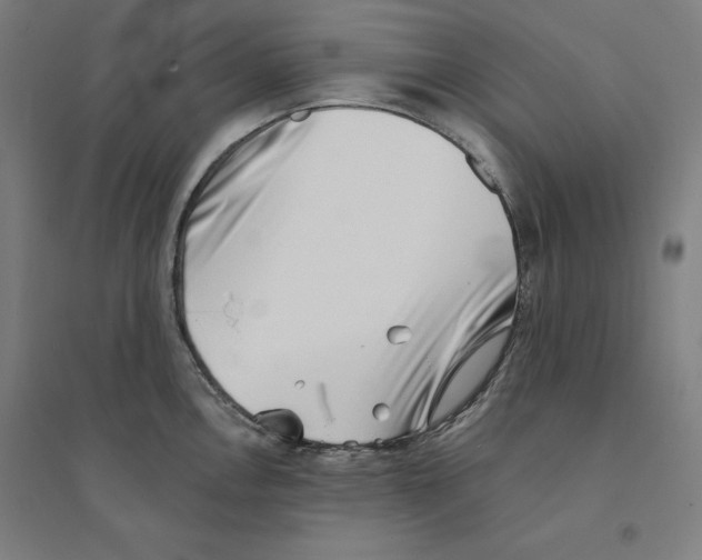 X0000094351146200711301355