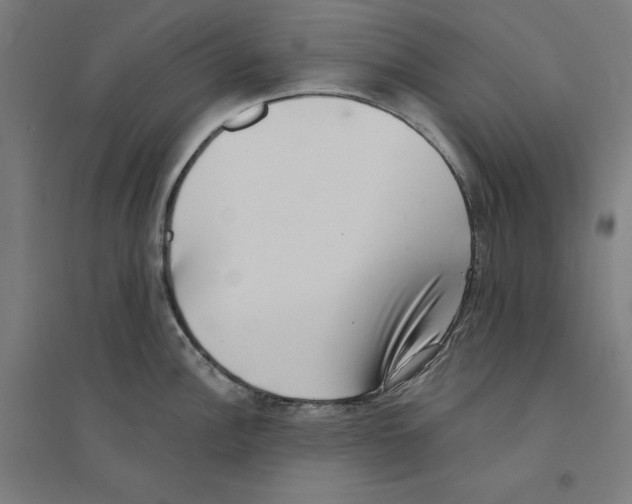 X0000094351148200711301355