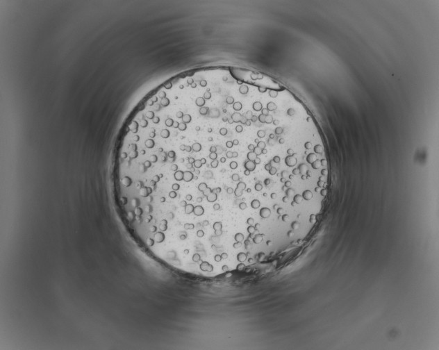 X0000094351149200711301355