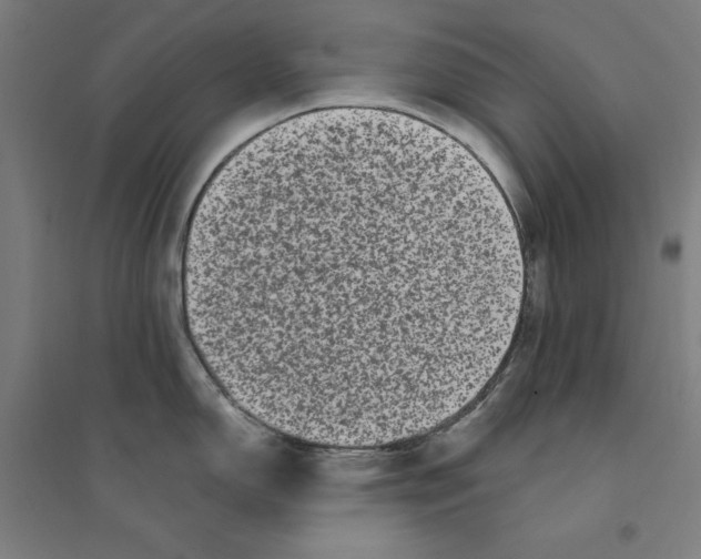 X0000094351150200711301355