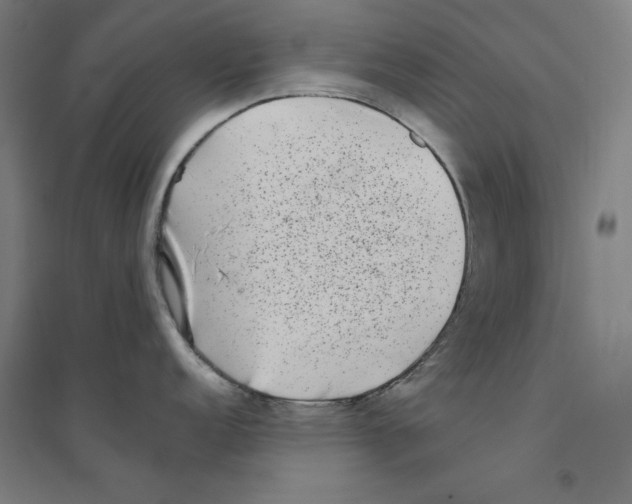 X0000094351152200711301355