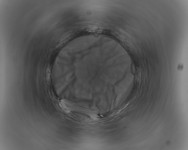X0000094351154200711301355