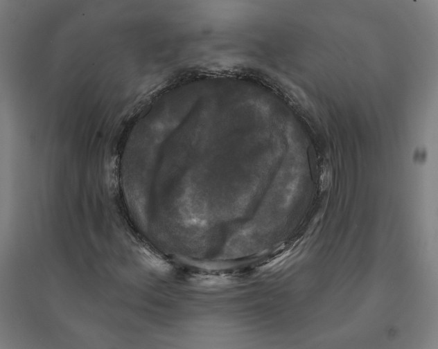 X0000094351156200711301355