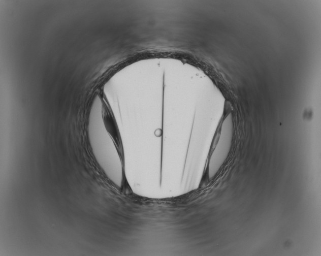 X0000094351157200711301355