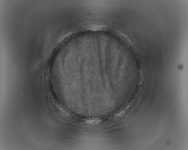 X0000094351158200711301355