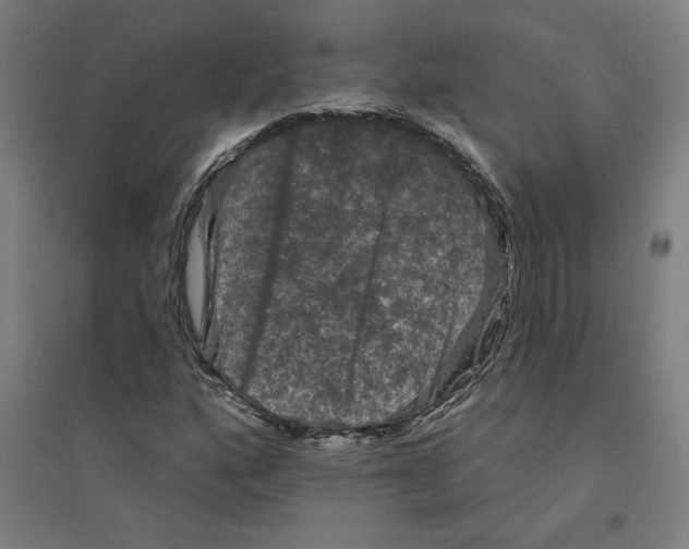 X0000094351160200711301355