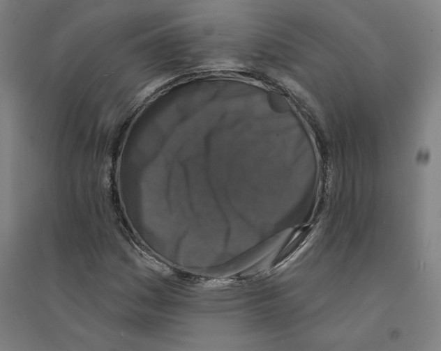 X0000094351161200711301355