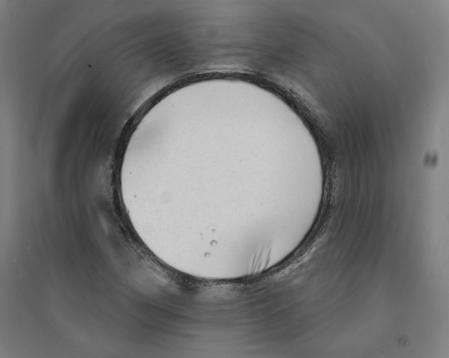 X0000094351162200711301355