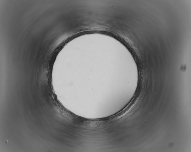 X0000094351163200711301355