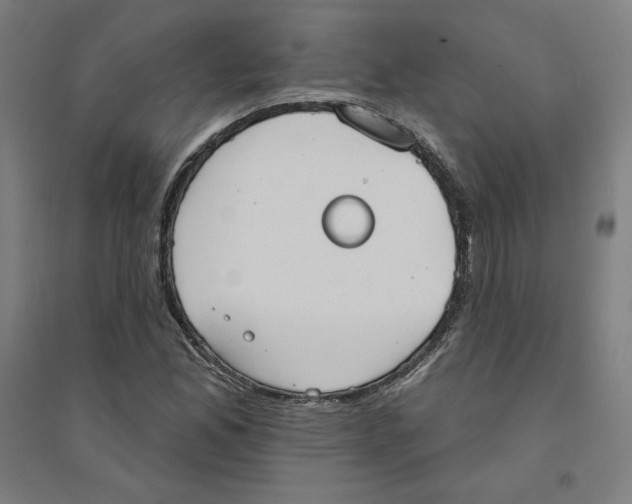 X0000094351165200711301355