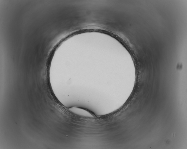 X0000094351167200711301355