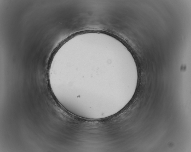 X0000094351168200711301355