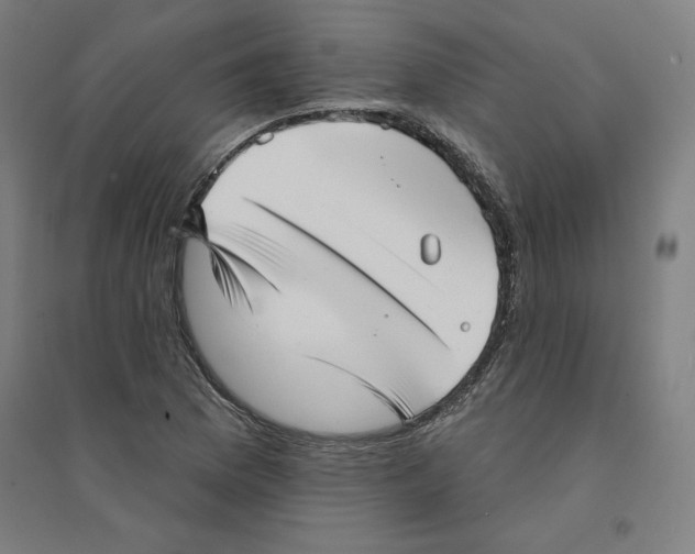 X0000094351169200711301354