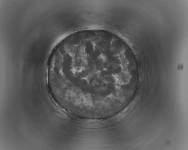 X0000094351171200711301354