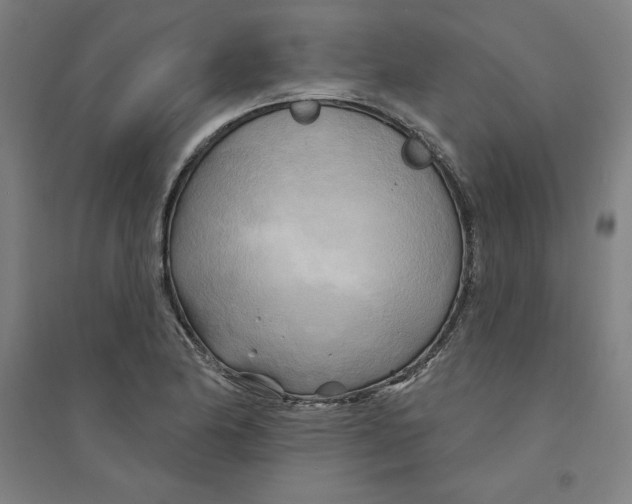 X0000094351174200711301354