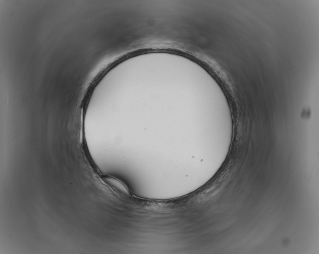 X0000094351175200711301354