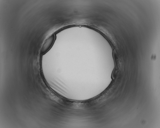 X0000094351176200711301354