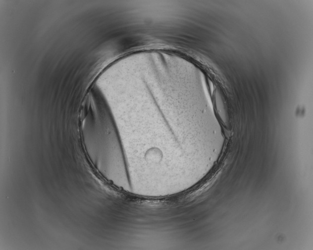 X0000094351177200711301354