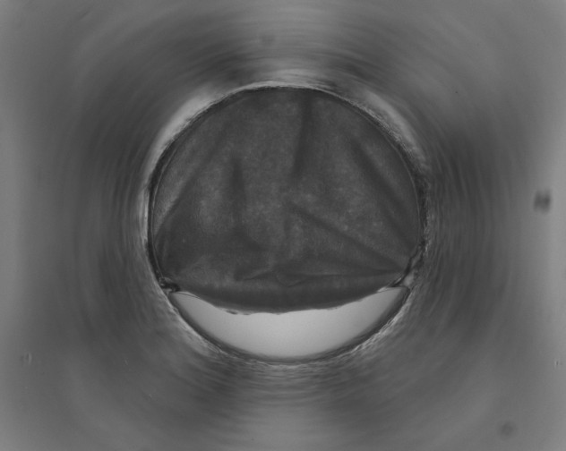 X0000094351180200711301354