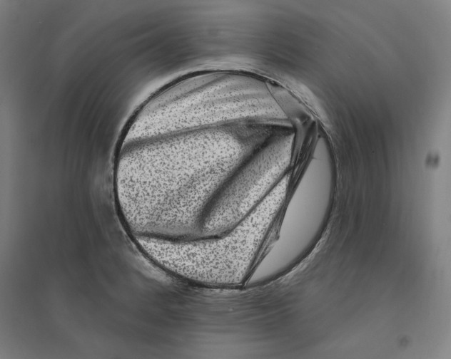 X0000094351184200711301354