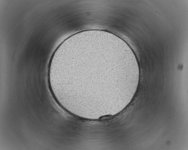 X0000094351187200711301354