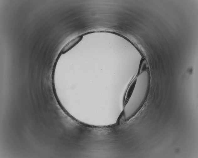 X0000094351189200711301354