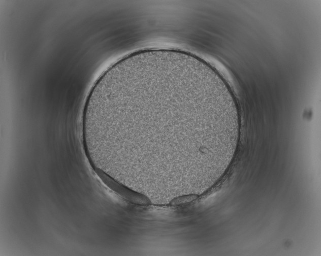 X0000094351191200711301354