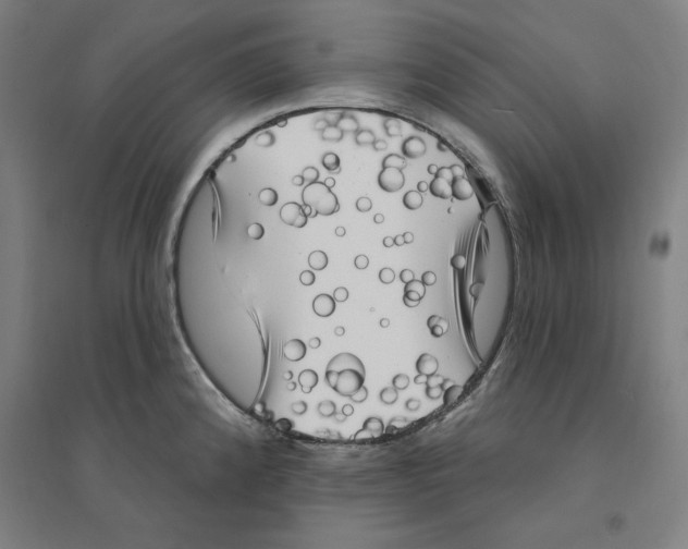 X0000094351192200711301354