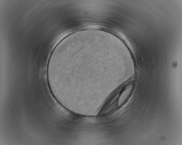 X0000094351194200711301354