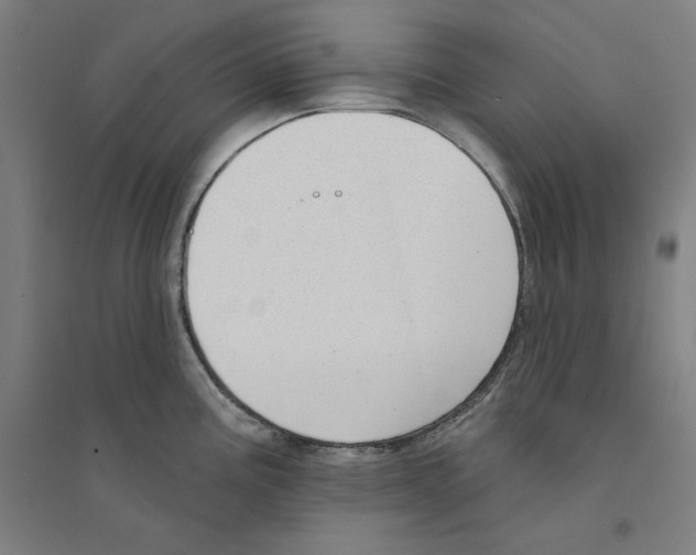 X0000094351195200711301354