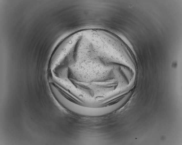 X0000094351197200711301354