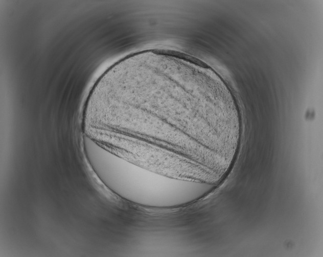 X0000094351200200711301354