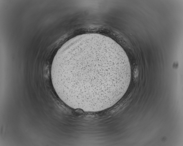 X0000094351204200711301353