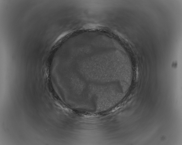 X0000094351206200711301353