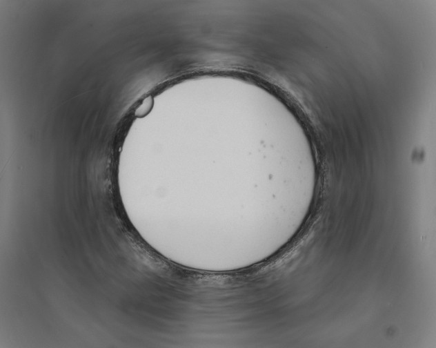 X0000094351211200711301354