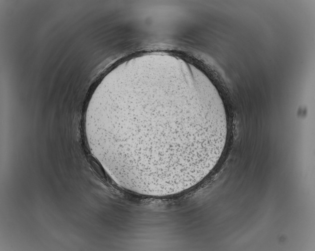 X0000094351217200711301354