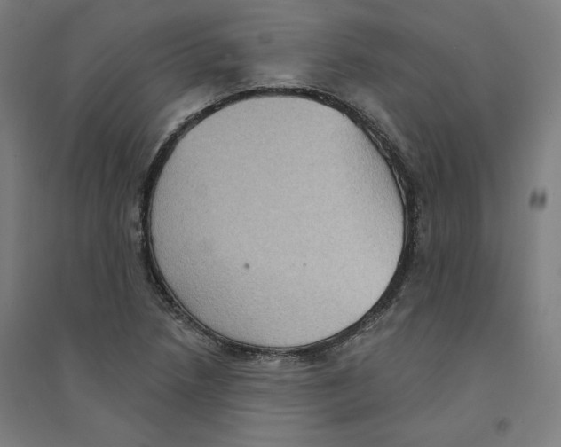 X0000094351218200711301354