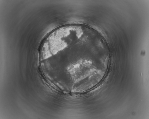 X0000094351219200711301354
