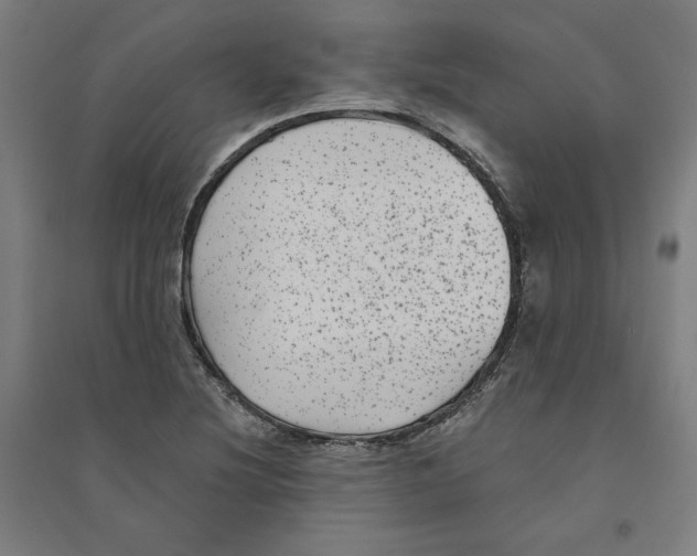 X0000094351220200711301354